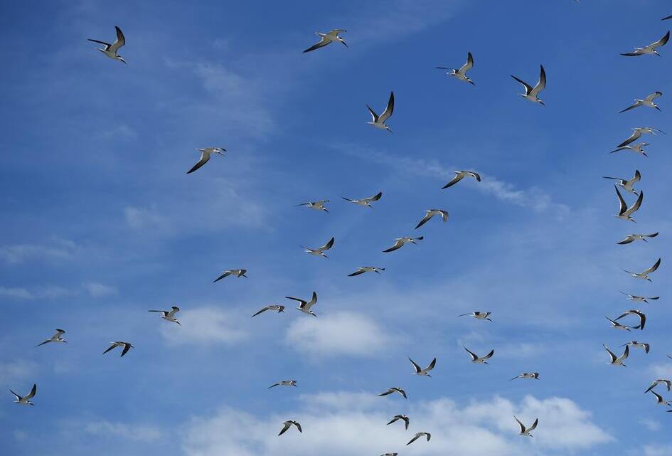 Beschouwingen bij begroting 2023