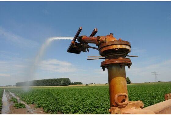 Water geeft leven