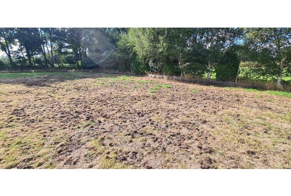 SGP vraagt om dassentelling in Elspeet