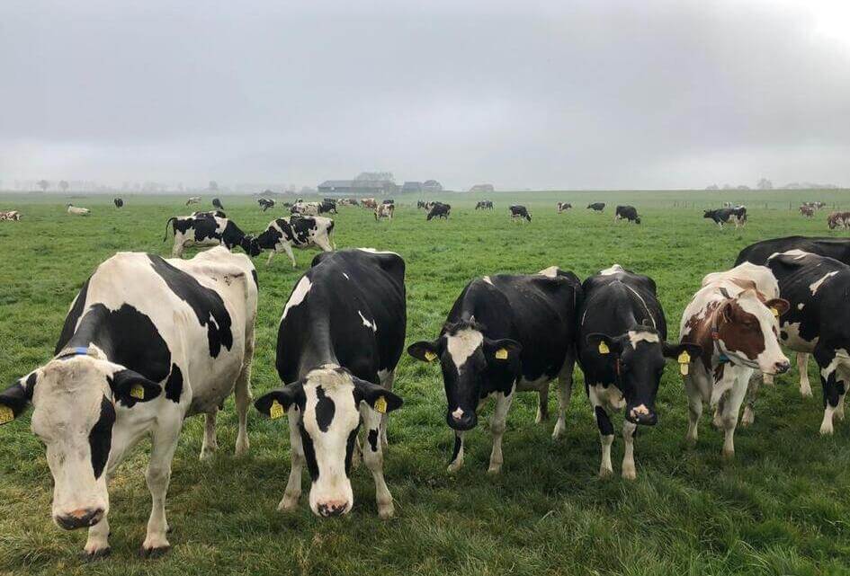 Reactie SGP op tijdelijke oplossing PAS-melders