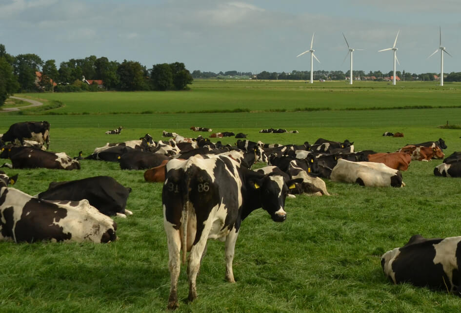 Gelders Programma Landelijk Gebied
