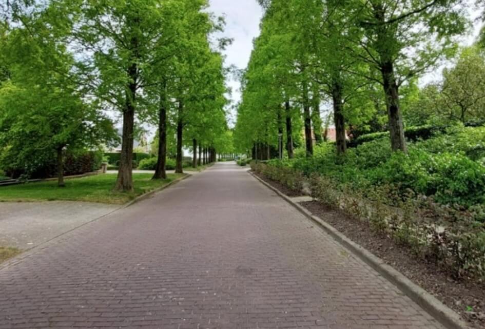 Plannen voor meer groen in Reimerswaal