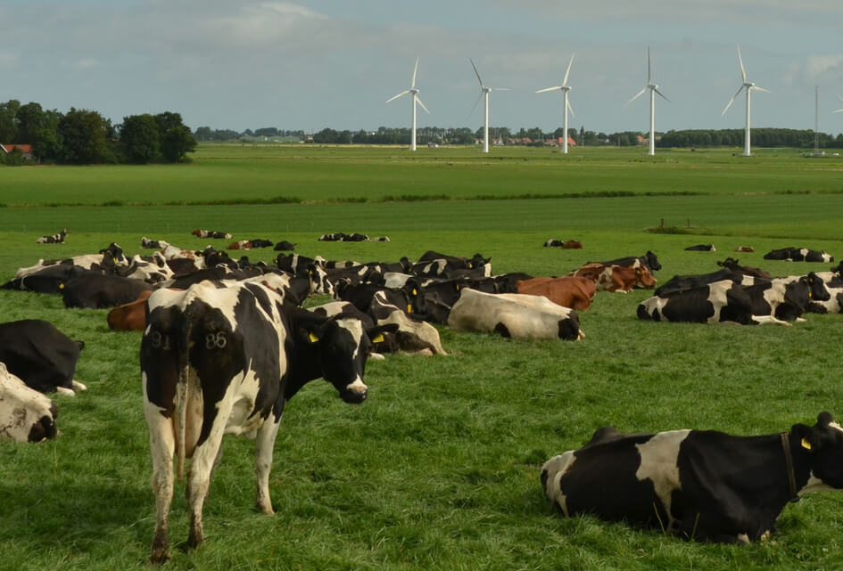 Politieke avond in Nunspeet: landbouw, stikstof en de wolf