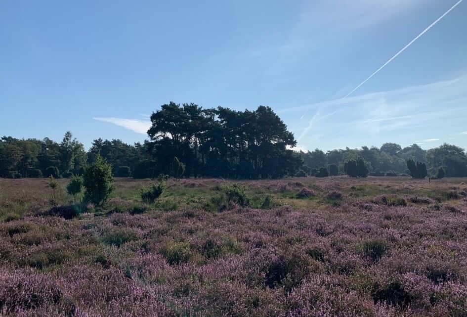 Betalen voor fotosessie in natuurgebied is onbestaanbaar
