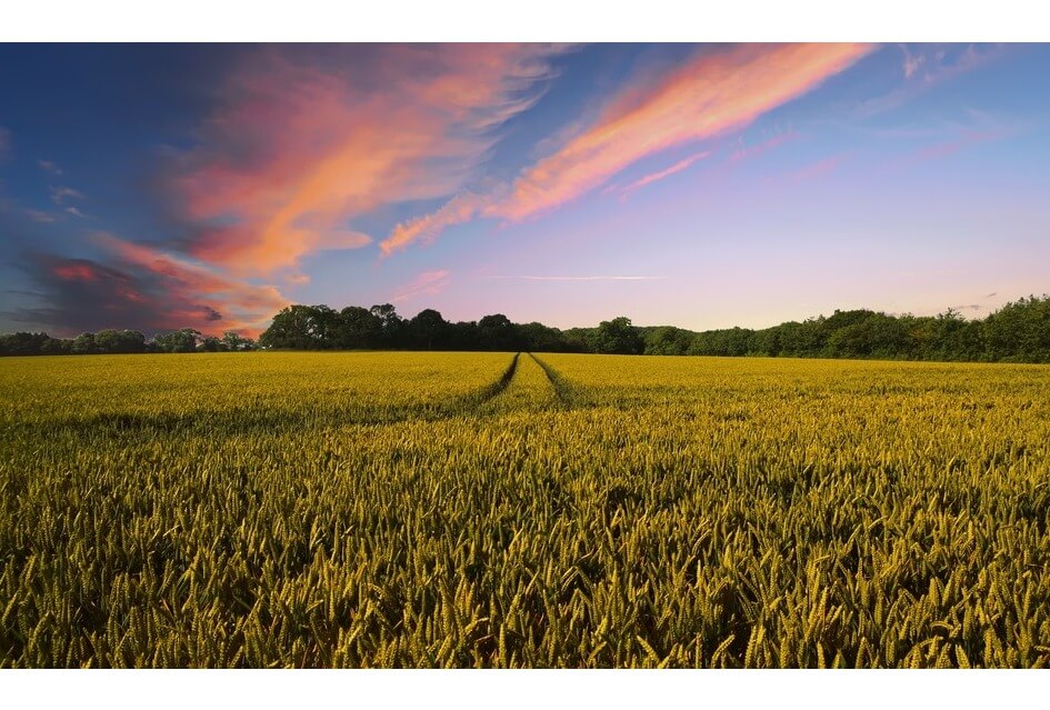 RAADSVERGADERING | Kaderbrief Regio FoodValley