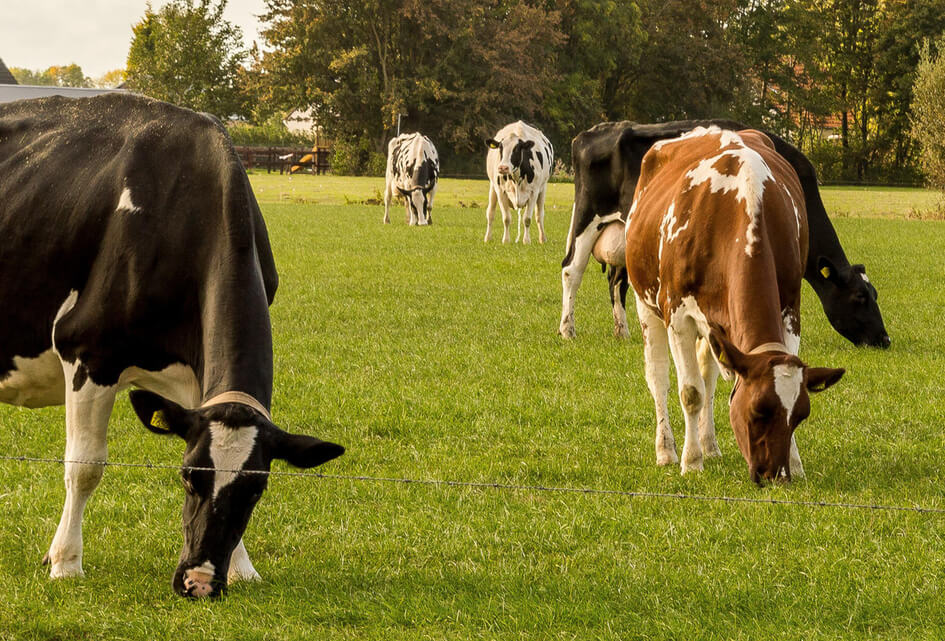 Boeren in Barneveld centraal tijdens politieke avond