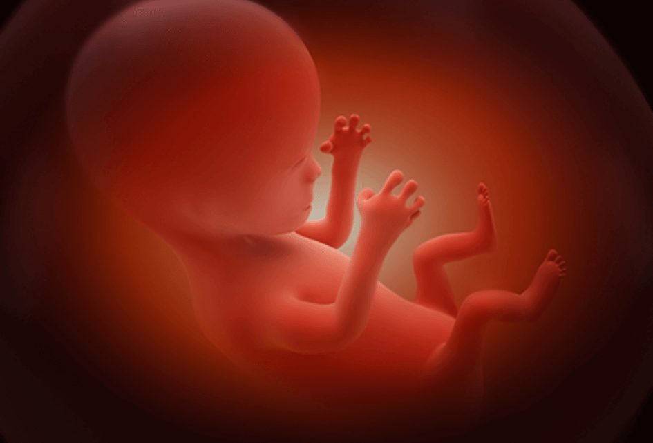 Kabinetsreactie over abortus ‘heel pijnlijk’