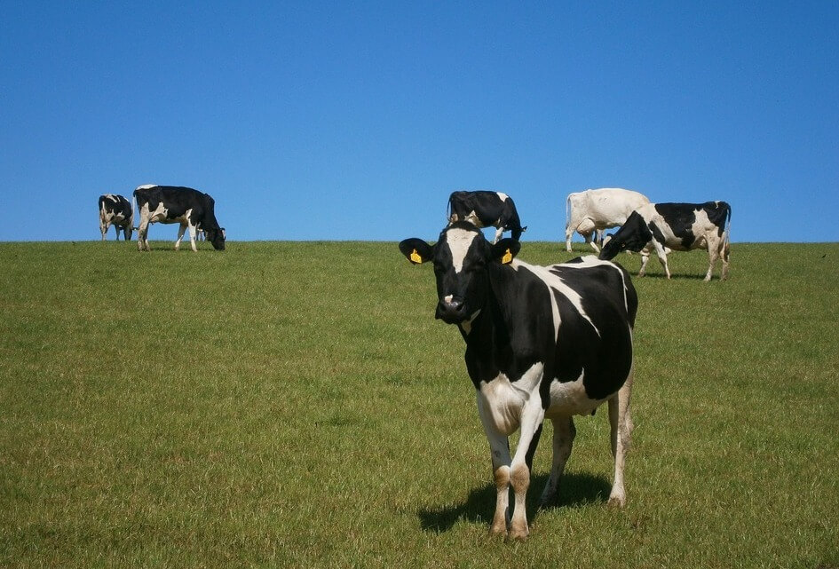 De kracht van boeren niet breken maar benutten!