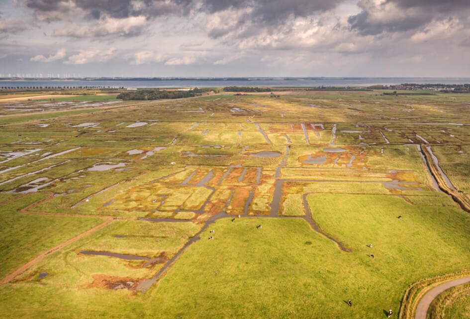 'Geen zout, maar zoet water in de Yerseke moer bij droogte'