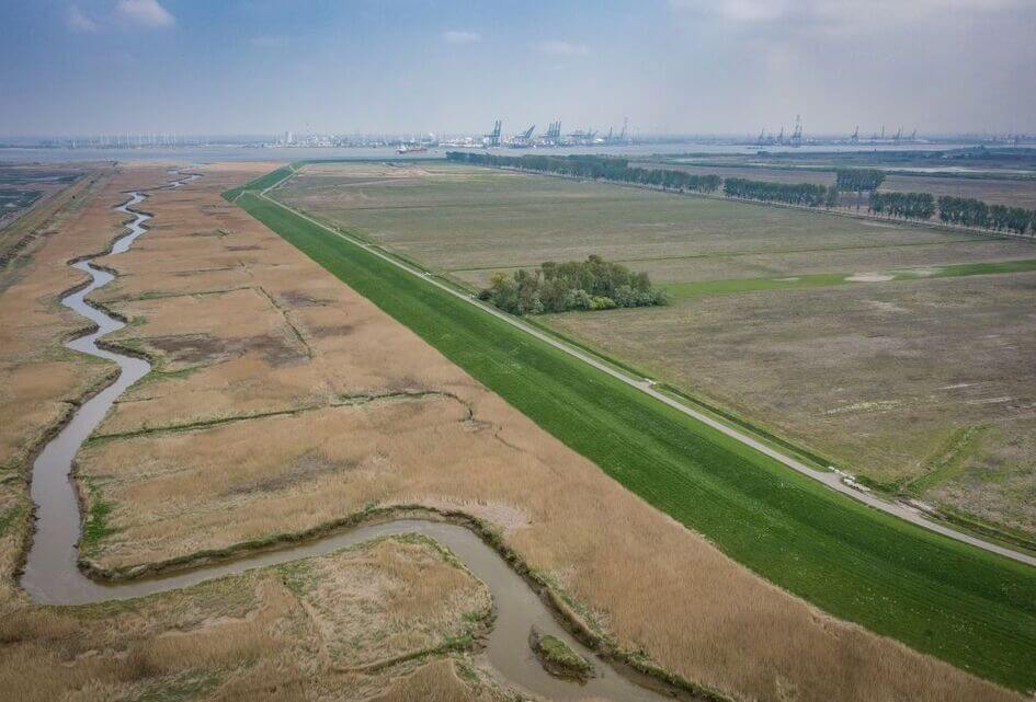 Naamswijziging Hedwigepolder van de baan