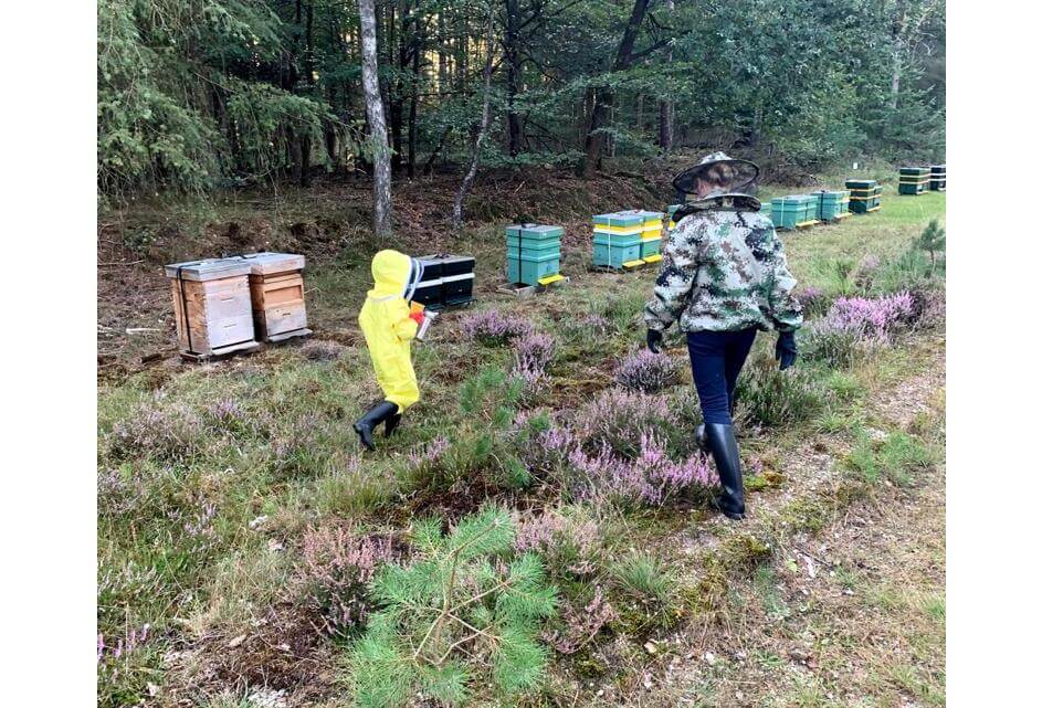 SGP wil duidelijkheid over bijenkasten