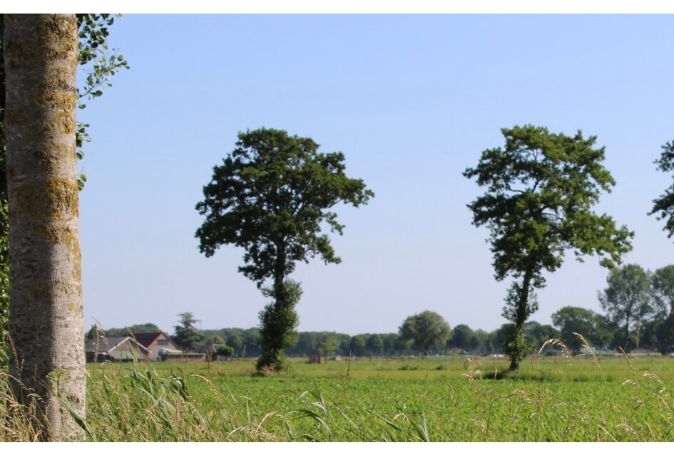 Bijdrage zomernota