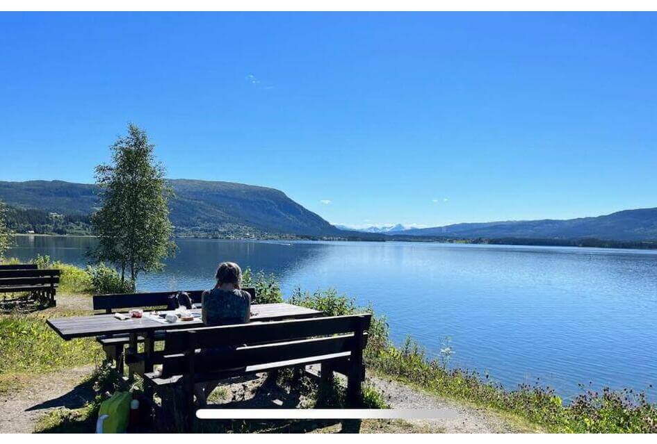 Beantwoording vragen rolstoelpicknicktafels, droom of realiteit?