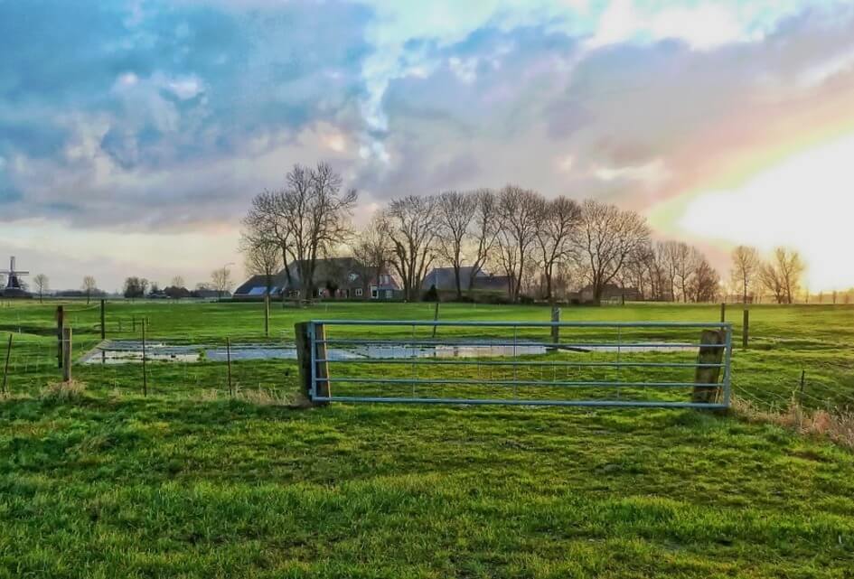 Bisschop over stikstof, NPLG en natuur