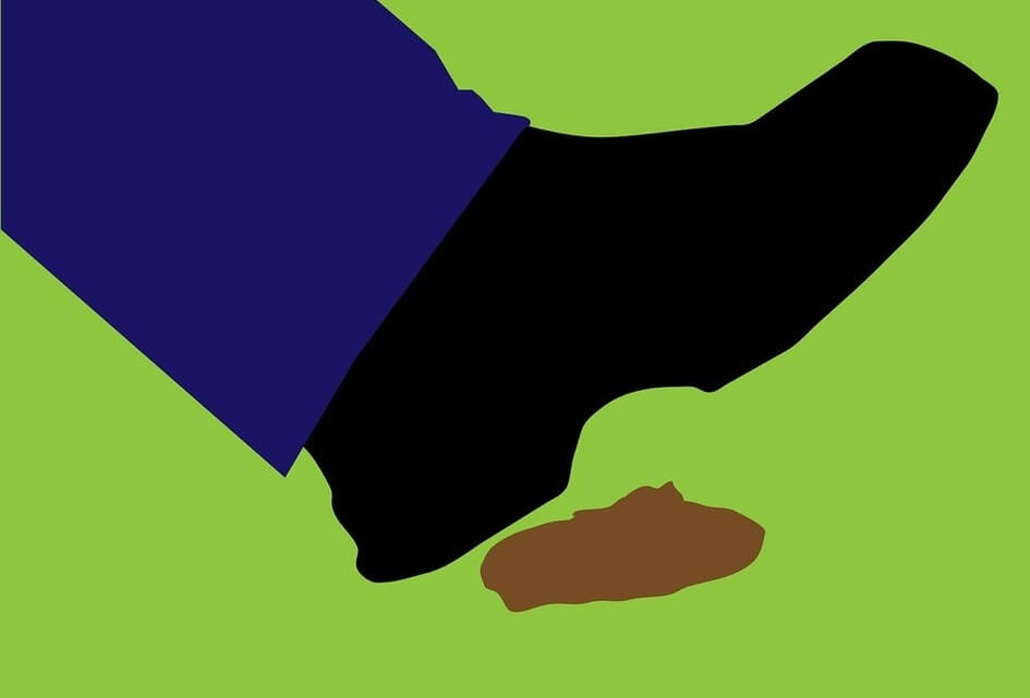 Ons plan voor aanpak hondenpoep overlast