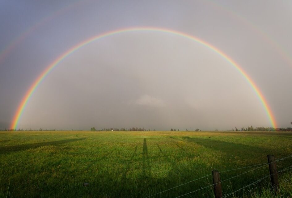 Geen steun voor consequent vlaggenbeleid