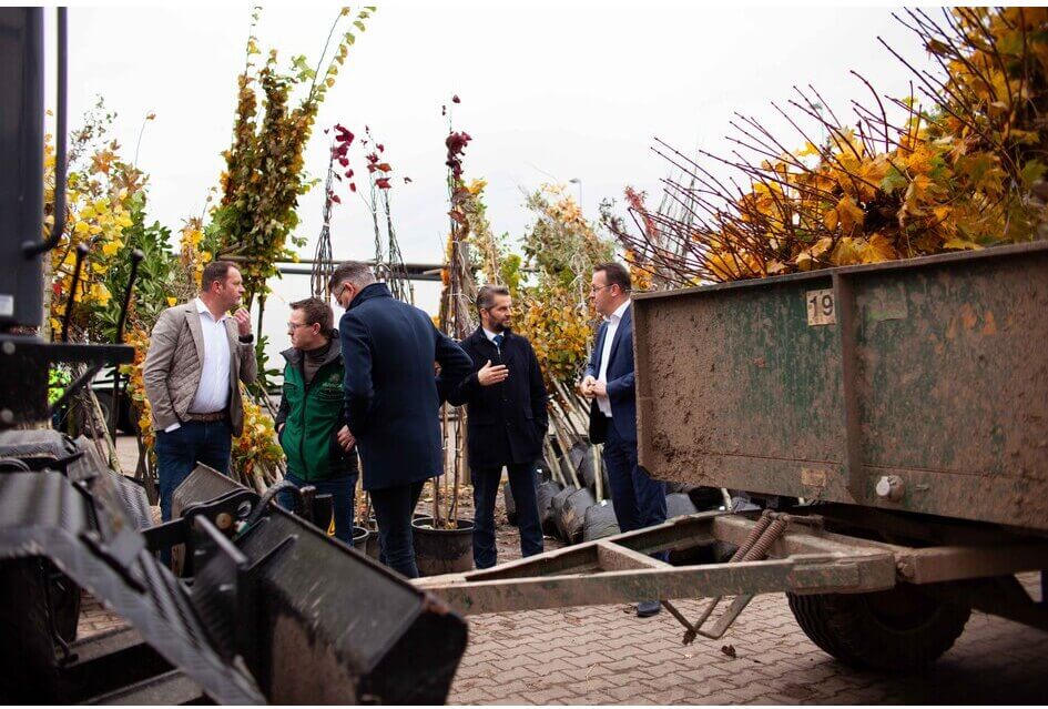 SGP pleit voor meer bomen in heel Nederland