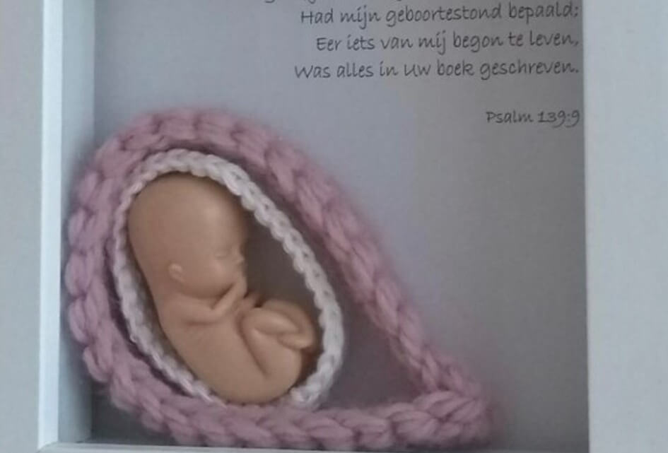 EU wil straf op prolifeadvies