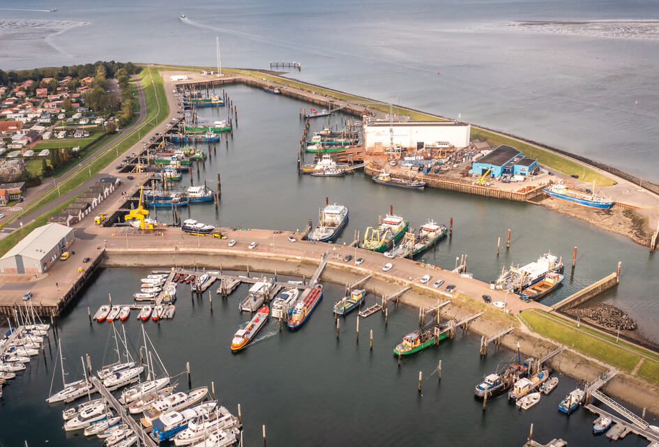 Update over Damwand havens Yerseke