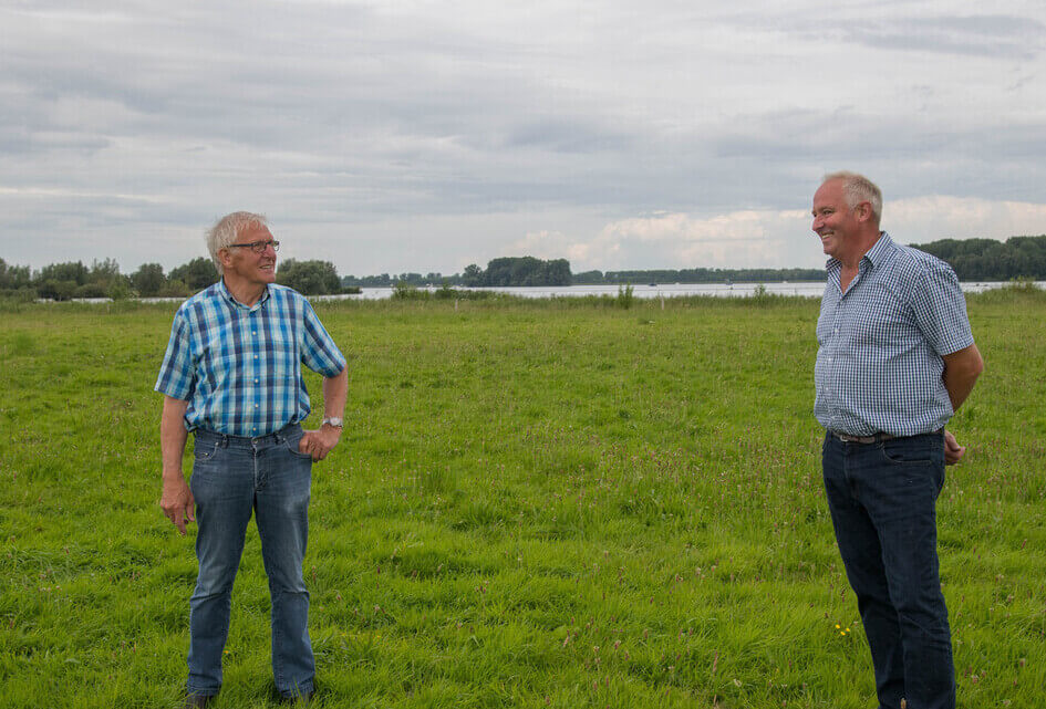 SGP vraagt aandacht voor beheer ganzen