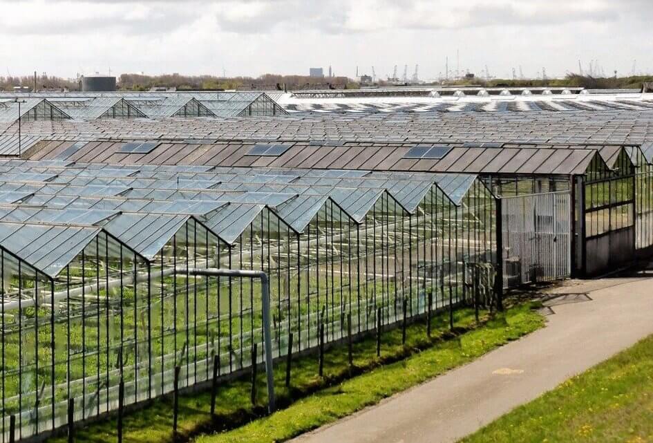 Commissiedebat over tuinbouw en visserij