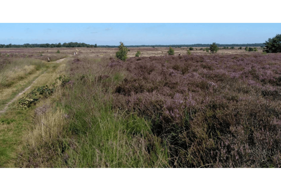 Raadsvergadering 6 maart 2024 Langetermijnvisie Heideterreinen