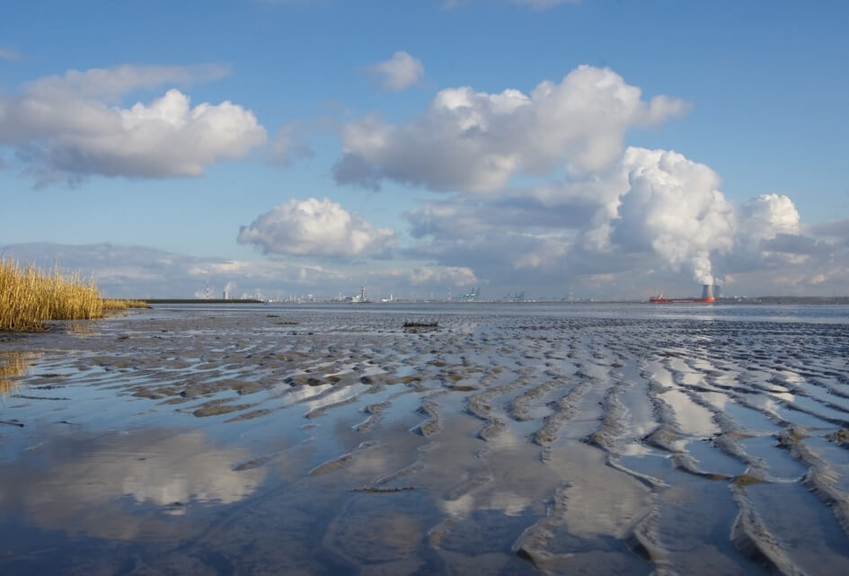 RWS wil opnieuw staalslakken storten