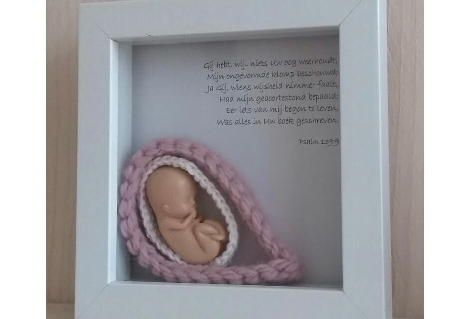 SGP stemt tegen abortus als EU-grondrecht