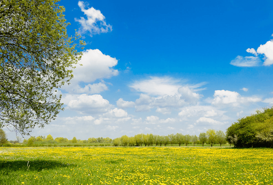 SGP voorkomt vastleggen stikstofreductie als gemeentelijk doel