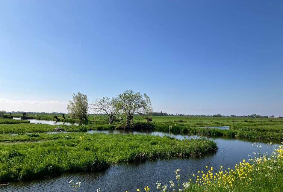 Stelling van de maand