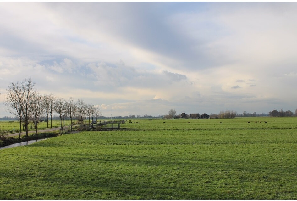 Stelling van de maand