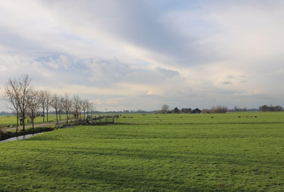 Plaggen? Wat ons betreft niet!