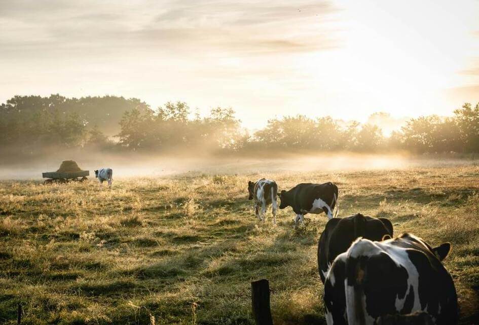 ANTWOORD I Raadsvragen opkopen boerderijen