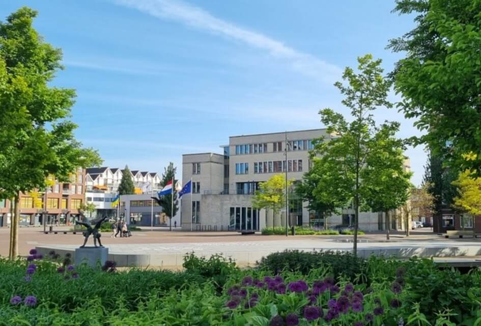 Benut 'wijsheid van de grijsheid'