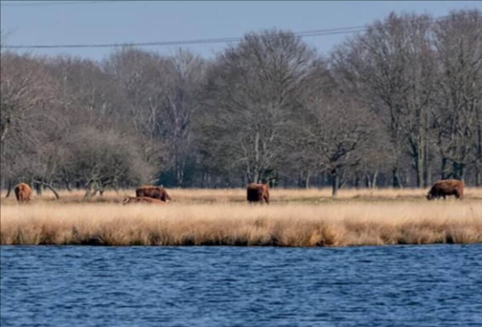 Vaststelling Projectplan Waterwet Boerenveensche Plassen en realisatiekrediet