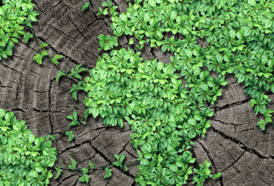 Ambitieus én realistisch op klimaat