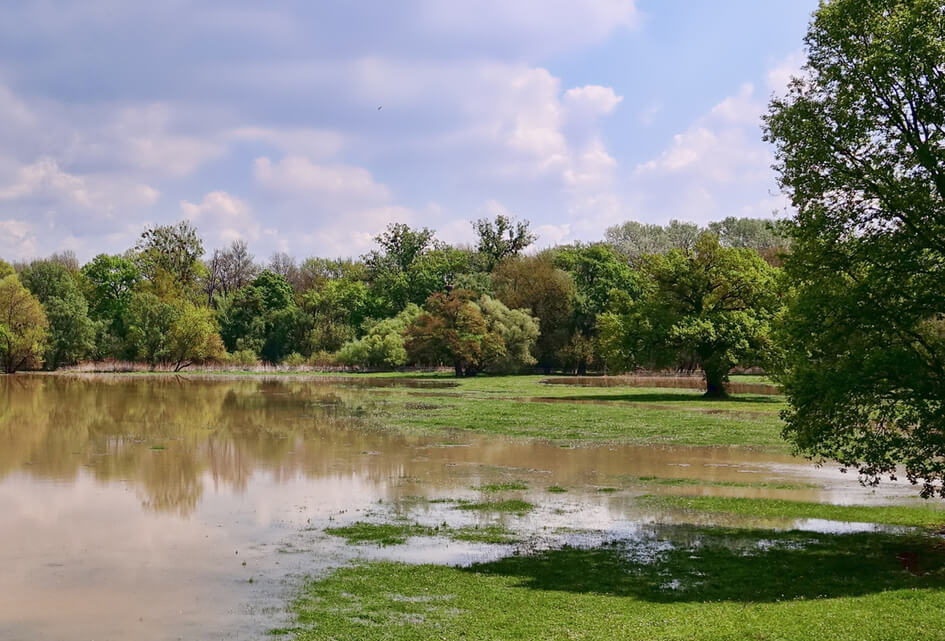 SGP Vallei&Veluwe stelt vragen over wateroverlast