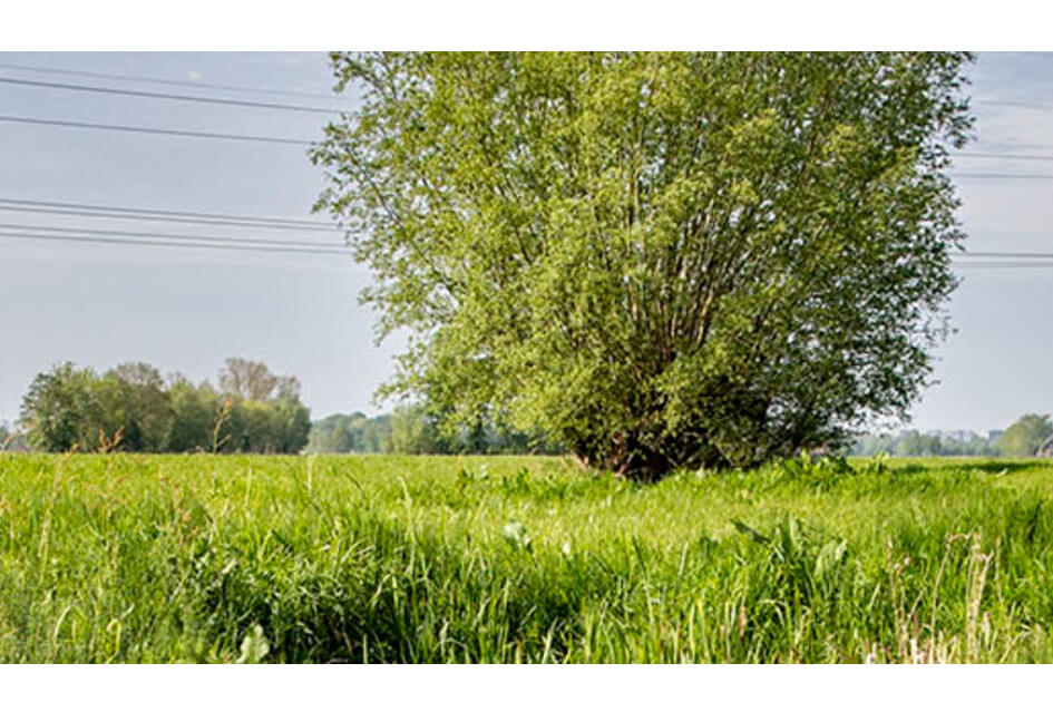 Uit de gemeenteraad - oktober 2024