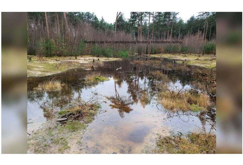 Uit de gemeenteraad - december 2024