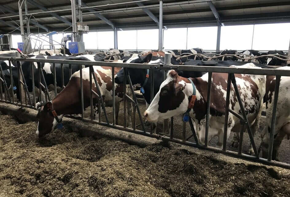 Niet stoppen, maar doorgaan: geef de boer de ruimte om te innoveren