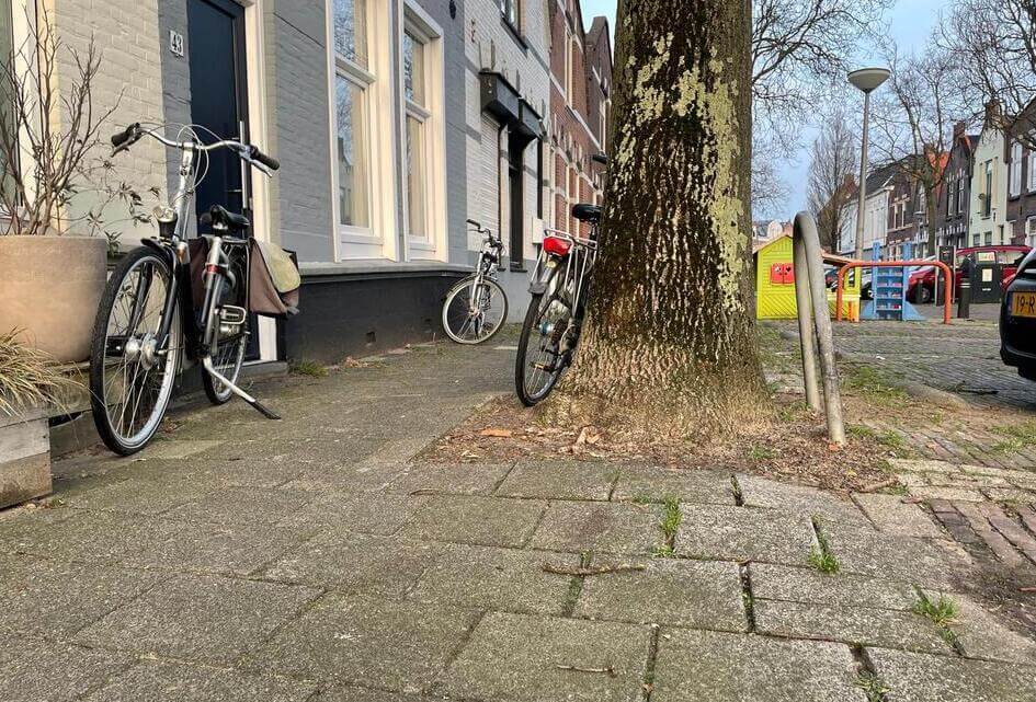 Vragen Overlast eikenbomen Kasteelstraat