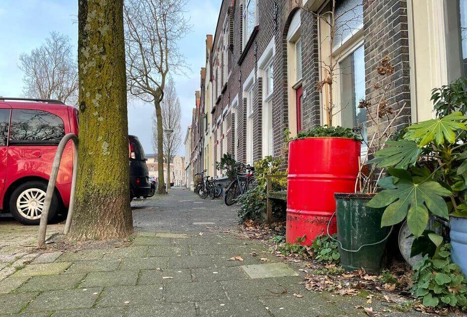 Beantwoording vragen overlast eikenbomen