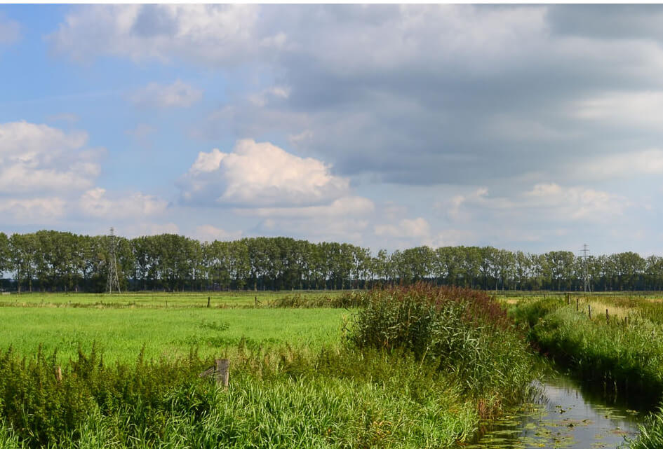 Video het Binnenveld