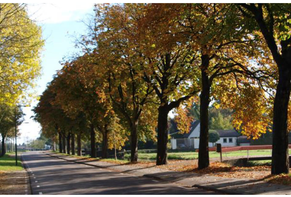 Waar gaat het heen met ons dorp?