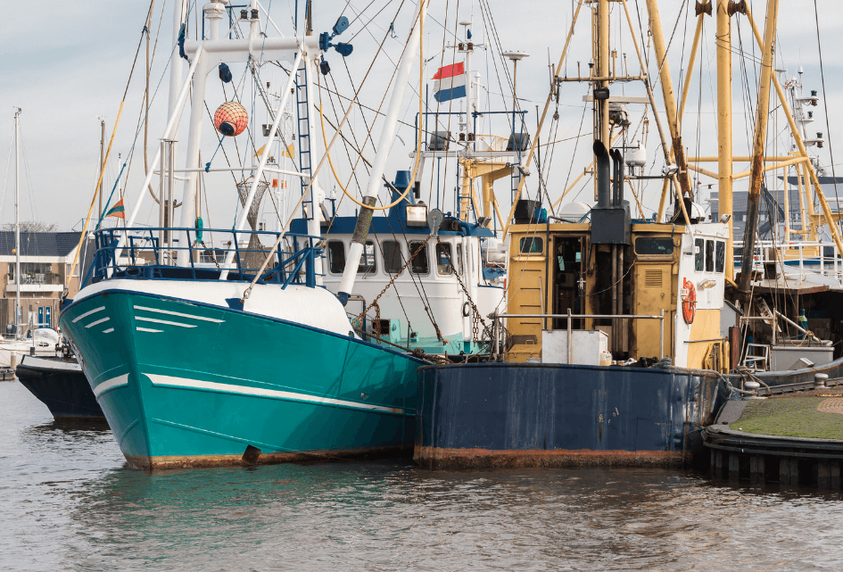 SGP vraagt om vermindering van regeldruk voor de visserij