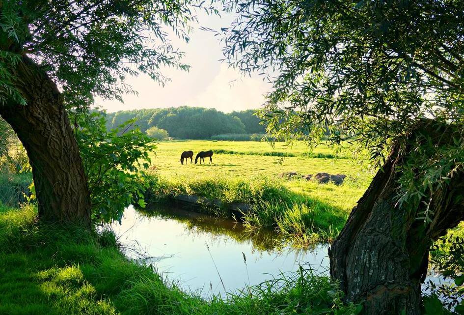 Wees duidelijk over stikstof en natuur