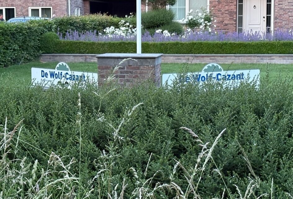 Fotoverslag rondleiding melkveebedrijf te Ritthem