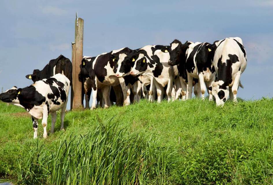 Schriftelijke Kamervragen termijn PAS-knelgevallen