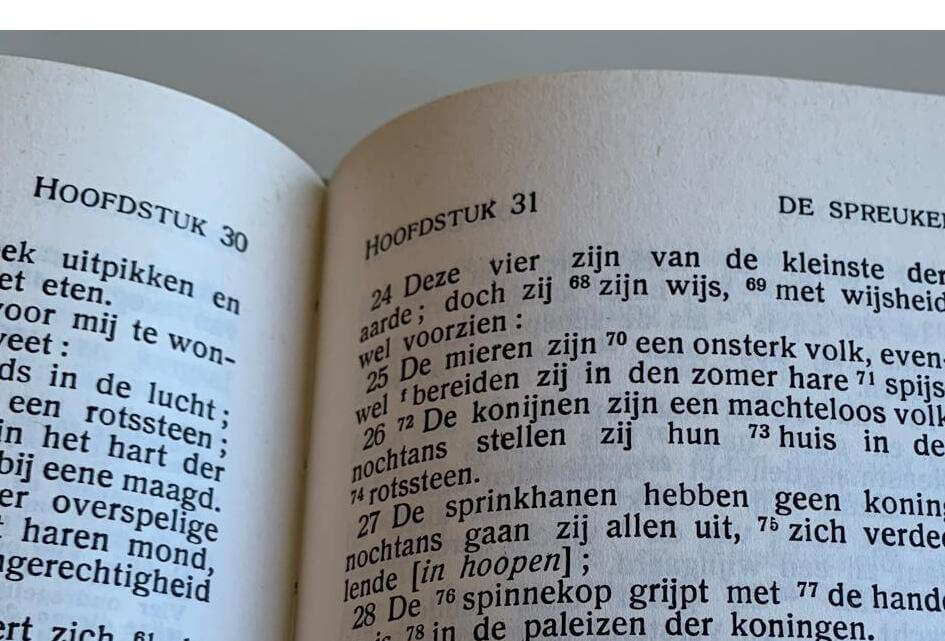 Algemene beschouwingen - 1 juli 2025