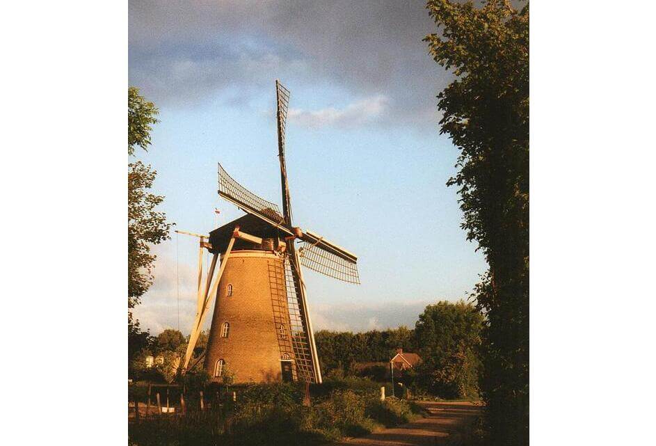 Nieuwsbrief juli 2025